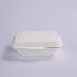 Bagasse 600ml Clamshell Takeout Containers, Biodegradable Eco Friendly Take Out to Go Food Containers with Lids for Lunch Leftover Meal Prep Storage, Microwave and Freezer Safe