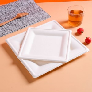 Eco-Friendly 10 Inch Square Paper Plate Tray – Natural Disposable Bagasse Plate –  Plate Made of Sugarcane Fiber