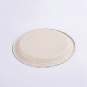 Eco-Friendly 10 Inch Paper Round Plate – Natural Disposable Bagasse Plate –  Plate Made of Sugarcane Fiber