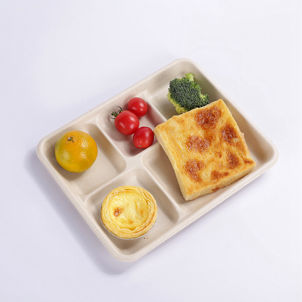 2019 Latest Design Compostable Clamshell Food Box -  100% Compostable 5 Compartment 10*8 INCH Plates,Eco-Friendly Disposable Bagasse Tray,Heavy Duty School Lunch Tray – ZHONGSHENG