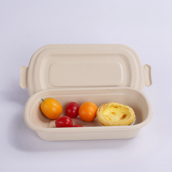 Hot Selling for Sugarcane Bagasse Hinged Clamshell - ZZ Eco Products 750ml Rectangle Biodegradable Bagasse Food Box/Salad Container-9″x 5 1/3″x 1 3/4″-500 count – ZHONGSHENG