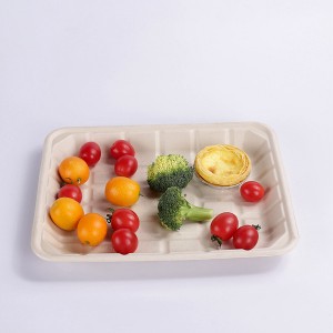 11*9 INCH Compostable Heavy-Duty Disposable Food BBQ Fruit Tray, Microwave Paper Plates Waterproof and Oil-Proof Heavy Duty Trays, 100% Biodegradable Rectangle Disposable Plates