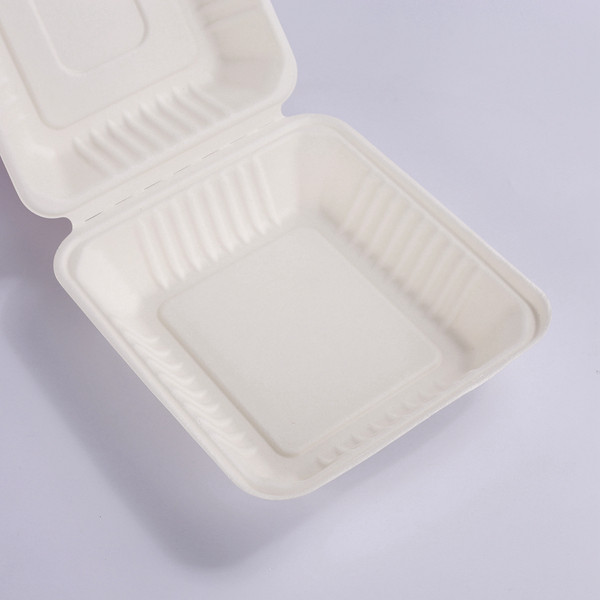 biodegradable 9*6 inch white clamshell packaging