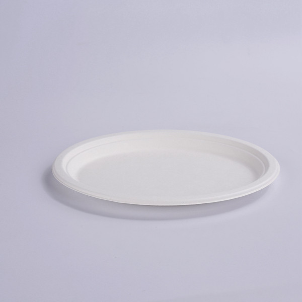Compostable Oblong Plates Disposable Hot Round Oval Square Platters Bowls 