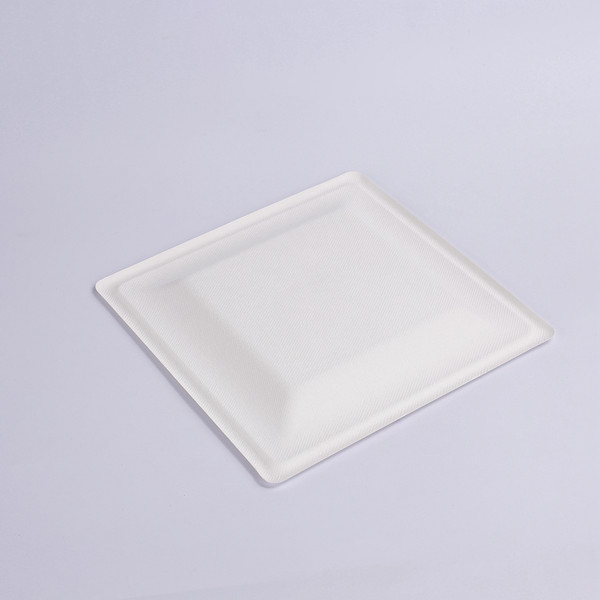 Manufacturer for Sugarcane Bagasse Tableware - ZZ Eco Products Biodegradable White Sugarcane/Bagasse Square Plate- 8″x 8″ x 4/5″-500 count box – ZHONGSHENG