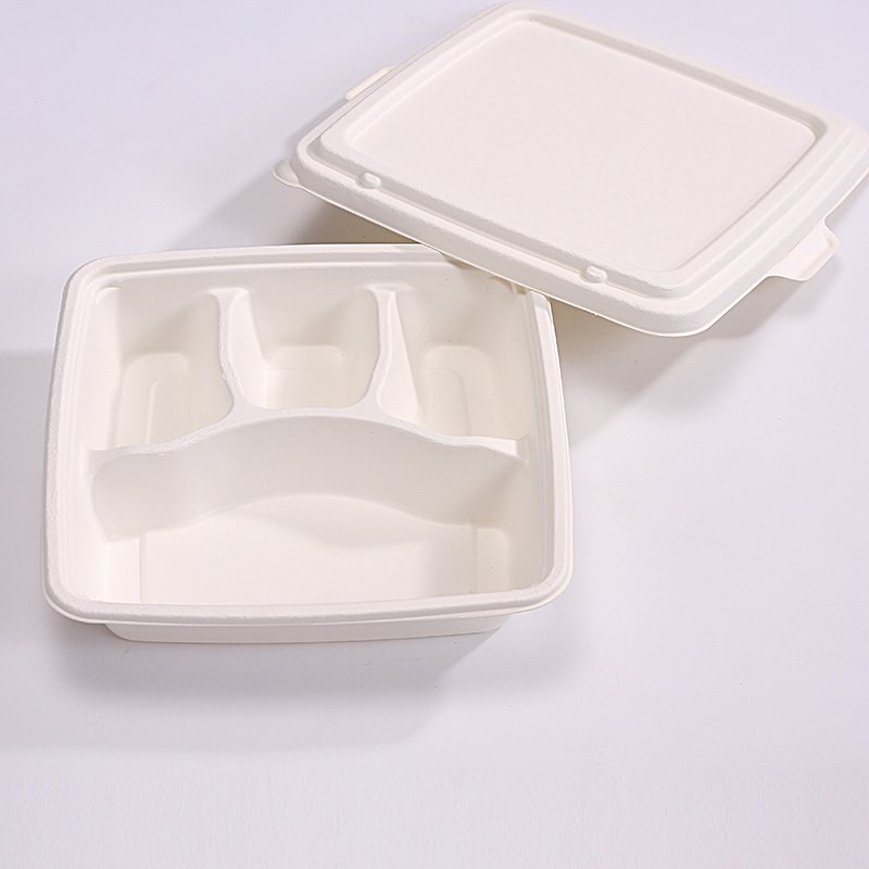 Factory Supply Disposable Box - 100% Compostable 4 Compartment 9*9 INCH Plates,Eco-Friendly Disposable Bagasse Tray,Heavy Duty Take-away School Lunch Tray – ZHONGSHENG