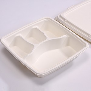 100% Compostable 4 Compartment 9*9 INCH Plates,Eco-Friendly Disposable Bagasse Tray,Heavy Duty Take-away School Lunch Tray