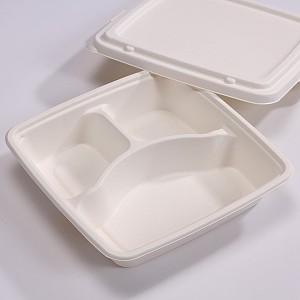 ZZ Eco Products Bagasse Lid-Fit SC-Container-500 count box