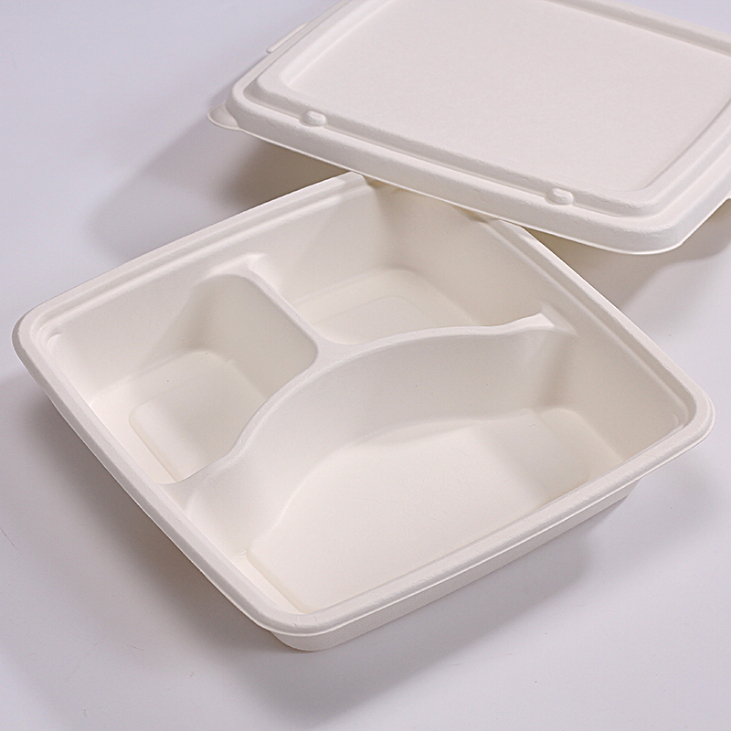 Factory selling Bagasse Compostable - 100% Compostable 3 Compartment 9*9 INCH Plates,Eco-Friendly Disposable Bagasse Tray,Heavy Duty Take-away School Lunch Tray – ZHONGSHENG
