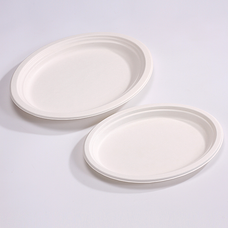 professional factory for Food Packaging - Eco-Friendly 6 Inch Paper Round Plate – Natural Disposable Bagasse Plate –  Plate Made of Sugarcane Fiber  – ZHONGSHENG