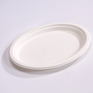 Eco-Friendly 12.5 Paper Oval Plate – Natural Disposable Bagasse Plate –  Plate Made of Sugarcane Fiber
