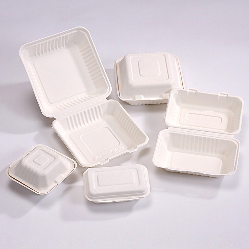Disposable Pulp Food Containers Take Away Lunch Box Sugarcane Bagasse Pulp  Clamshell with Lid Restaurant Meal Prep to Go Compostable Lunch Take Away -  China Disposable Tableware and Biodegradable Tableware price