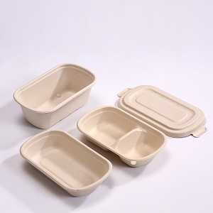 1000ml Bagasse Salad Takeout Containers, Biodegradable Eco Friendly Take Out To Go Food Containers with Lids for Lunch Leftover Meal Prep Storage, Microwave and Freezer Safe