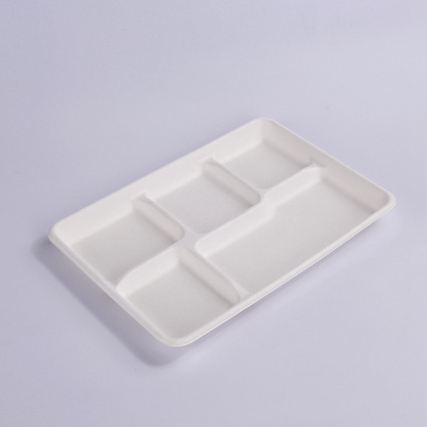 Excellent quality Disposable Dinnerware -  100% Compostable 5 Compartment 12.5*8.5 INCH Plates,Eco-Friendly Disposable Bagasse Tray,Heavy Duty School Lunch Tray – ZHONGSHENG