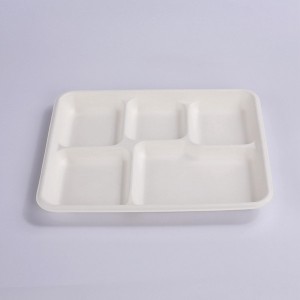 100% Compostable 5 Compartment 10*8 INCH Plates,Eco-Friendly Disposable Bagasse Tray,Heavy Duty School Lunch Tray