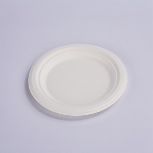 Super Purchasing for Plates Compostable - Serve side dishes and desserts on this ZZ biodegradable sugarcane / bagasse 6″ plate. – ZHONGSHENG