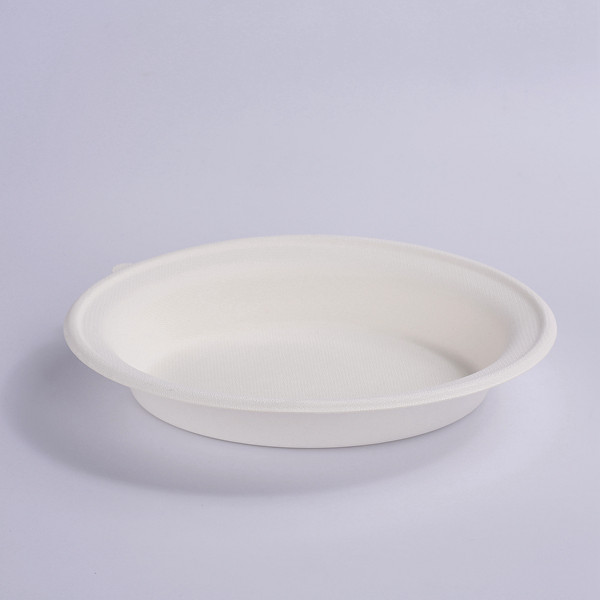 100% Compostable 18 oz Paper Takeaway Salad Oval Bowls PET Lid, Heavy-Duty Disposable Bowls, Eco-Friendly Natural Bleached Bagasse, Hot or Cold Use, Biodegradable Made of SugarCane Fibers Featured Image
