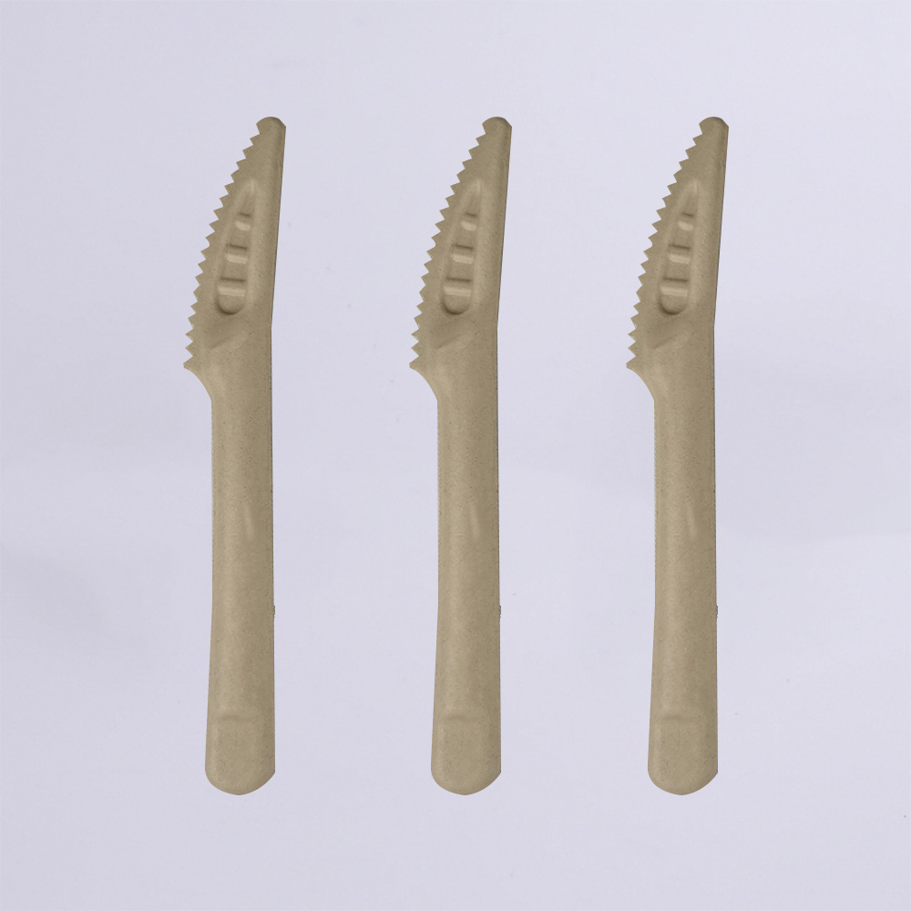 Reliable Supplier Biodegradable Utensils - 100% biodegradable and compostable bagasse pulp paper cuttlery – ZHONGSHENG