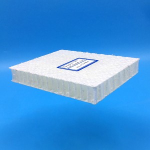 Thermoplastic Sandwich Panels