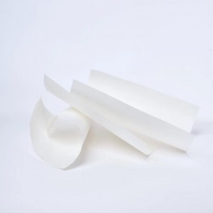 Factory wholesale 2 Micron Filter Paper – Fine Particle Filter Papers – Great Wall