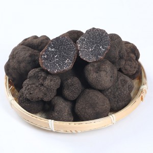 Wiled Fresh Black Truffle From China Ethnic Area