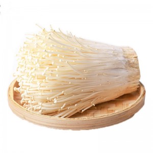 Most Welcomed Fresh Enoki Mushrooms From China ...