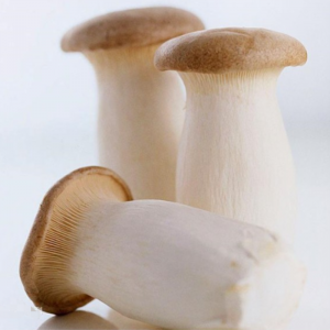 Fresh Type King Oyster Mushrooms Eryngii Mushrooms In Punnet