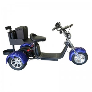 S13W 3 Wheels Golf Citycoco با باتری قابل جابجایی 1500W-3000w