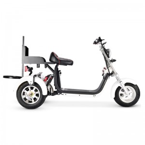 S13W 3 riteņu golfs Citycoco ar noņemamu akumulatoru 1500W-3000w