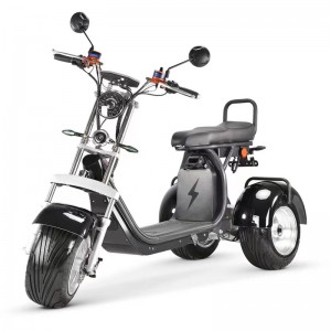 S13W Citycoco: un triciclo eléctrico de luxo revolucionario