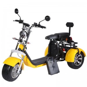 S13W Citycoco – um revolucionário triciclo elétrico de luxo