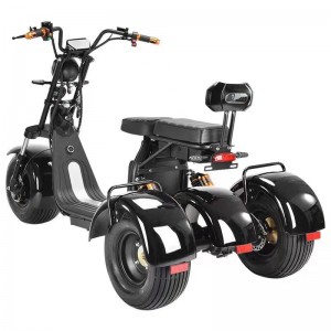 S13W Citycoco - Trike Electric okomoko mgbanwe