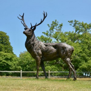 Best Price on Landscape Sculpture - Bronze elk sculpture – Tengyun