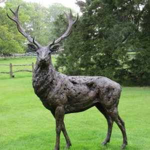 Bronze elk sculpture