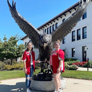 Garden bronze animal statue eagle sculpture