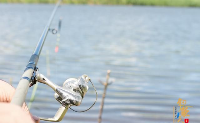 A Really Short Guide: The Important Parts of a Fishing Rod
