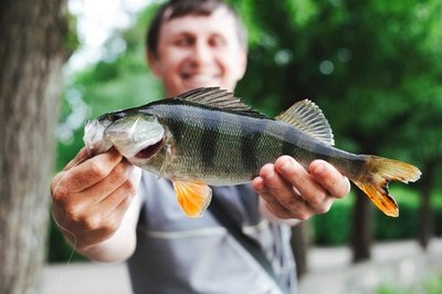 Fishing Is Good For Your Body And Mind