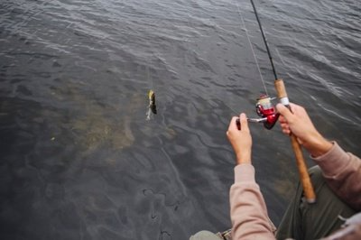 Spinning Fishing Like A Pro With The Help Of These 3 Tips