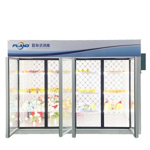 Display Cold Room With Glass Doors