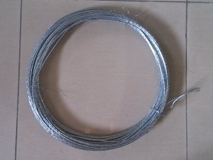 Twist wire