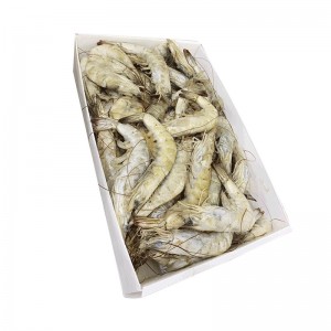 Factory Wholesale Plastic Seafood Box – Durable Customized Corrugated Plastic Seafood Boxes – Flutepak