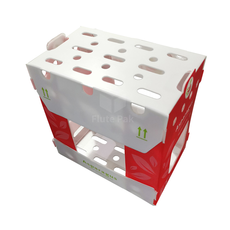 Corrugated Plastic Boxes for Fruits and Vegetables packing