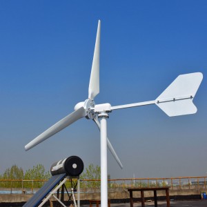 FLTXNY 1kw 2kw 3kw Horizontal Wind Turbine Generator For Home Use