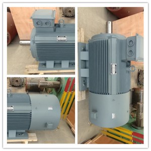 10kw Brushless High Speed ​​Permanent Magnent Generator