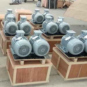 Generador d'imants permanents d'alta velocitat sense escombretes d'1-10 kW