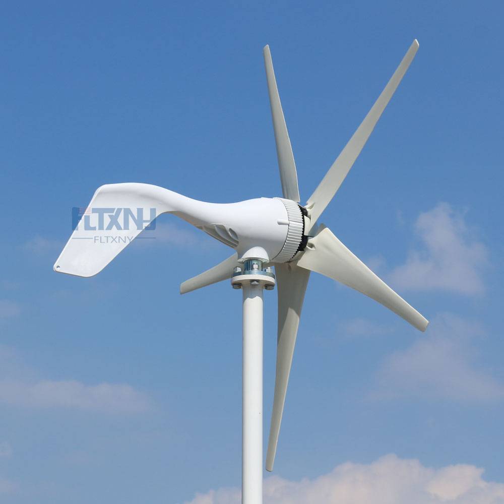 China S2 200w 300w 12v 24v 48v Horizontal Wind Turbine Generator