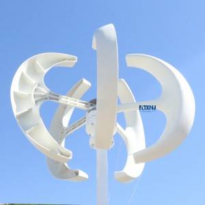 FLTXNY FR 400W 800W vertical wind turbine generator