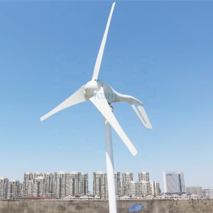 S3 600w 800w 12v 24v 48v generator mic de turbină eoliană orizontală