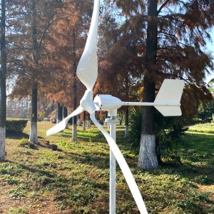 FLTXNY 1kw 2kw 24v 48v Wind Power Generation Turbine Wind Generator ho an'ny fampiasana an-trano
