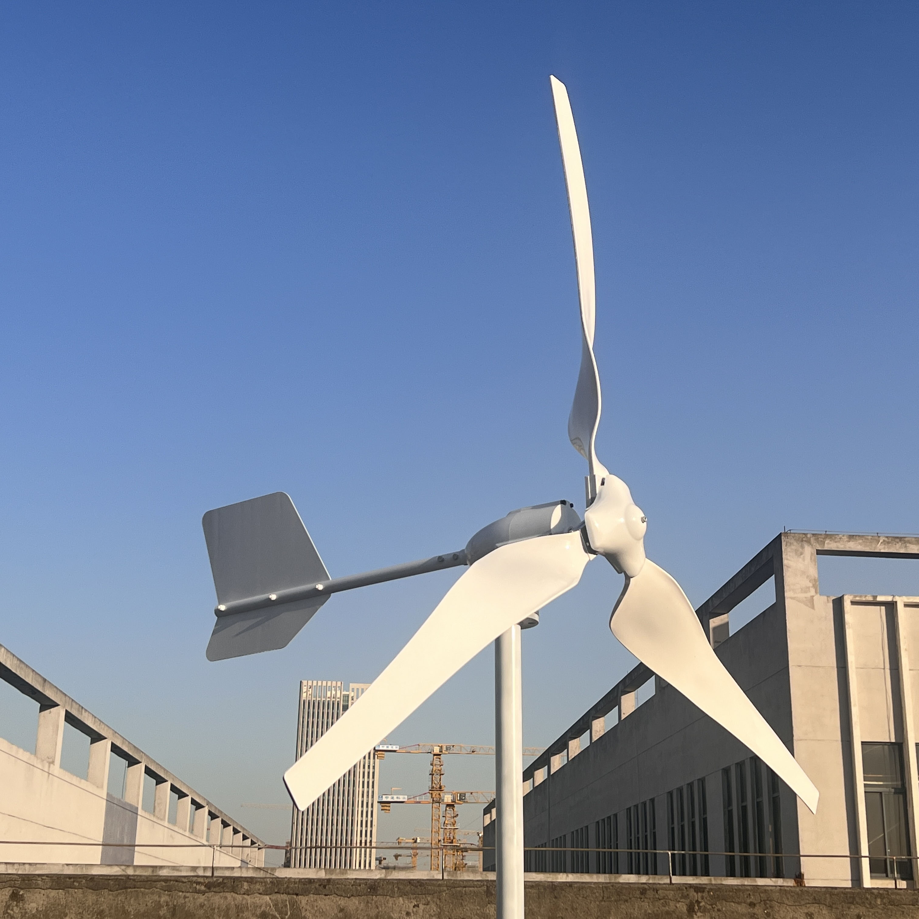 China FLTXNY 1kw 2kw 24v 48v Wind Power Generation Turbine Wind Generator  for Home use factory and suppliers